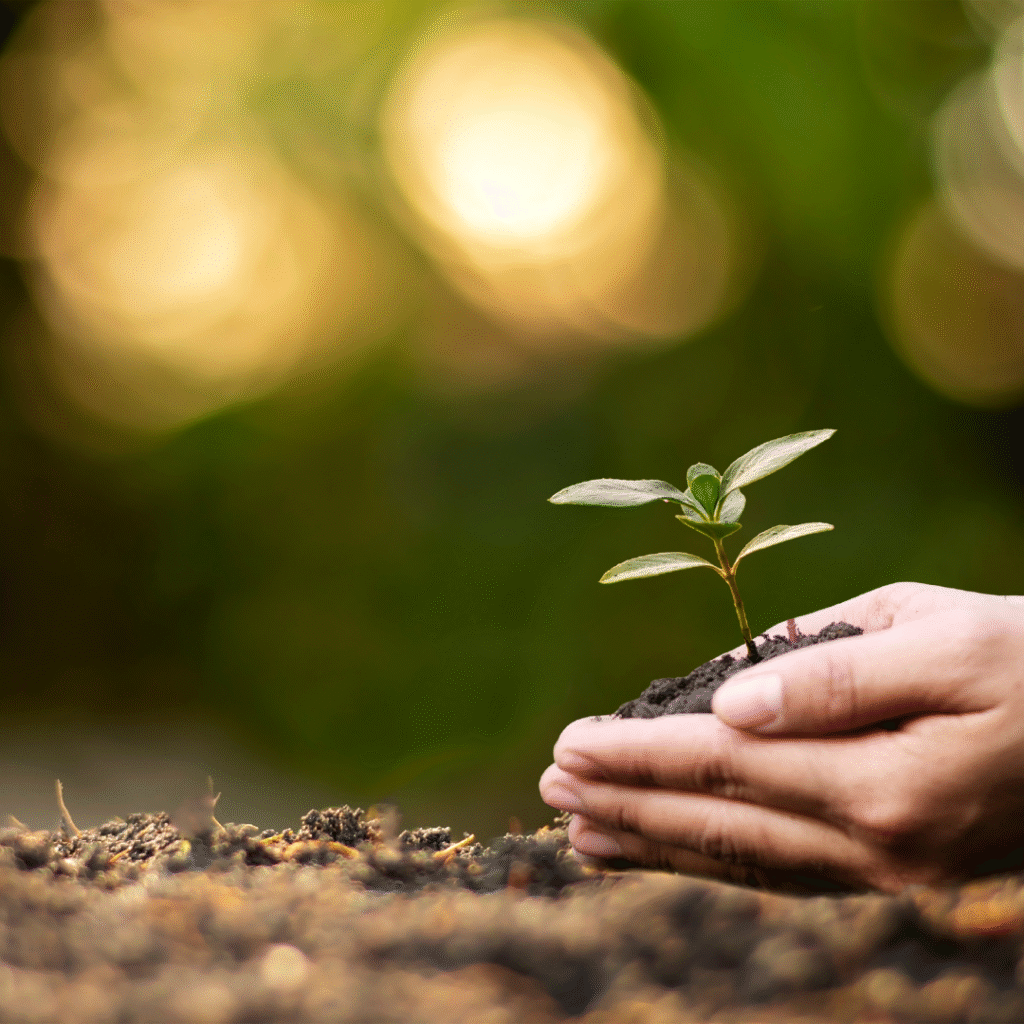 Choosing Growth Over Comfort: Why Discomfort Is the Catalyst for True Progress